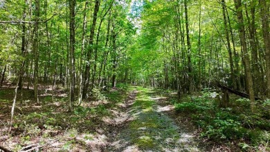 Lake Acreage For Sale in Atkins, Virginia