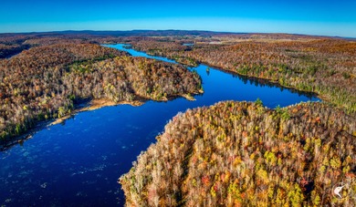 Introducing Little River Lake Forest, a remarkable 3,190-acre - photo 3