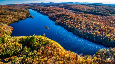 Introducing Little River Lake Forest, a remarkable 3,190-acre - photo 4