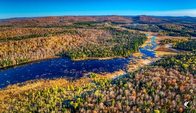 Introducing Little River Lake Forest, a remarkable 3,190-acre - photo 5