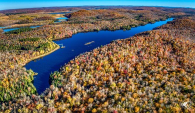 Introducing Little River Lake Forest, a remarkable 3,190-acre - photo 6
