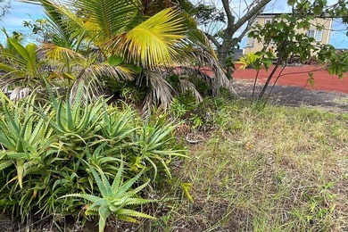 Improved Lots, Sold Together for this Price, in Kalapana Gardens - photo 26