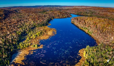 Introducing Little River Lake Forest, a remarkable 3,190-acre - photo 9