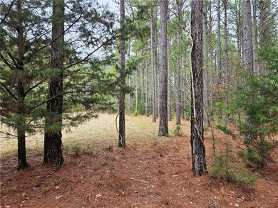 Welcome to the calm and beautiful place, offering a spacious 3 - photo 10