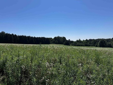 This 10 acres is well suited for building an executive retreat - photo 8