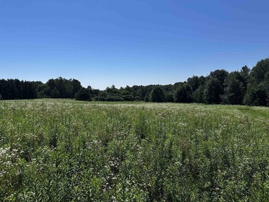 This 10 acres is well suited for building an executive retreat - photo 9