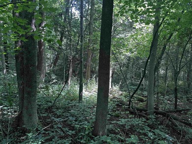 Additional listing photo 3