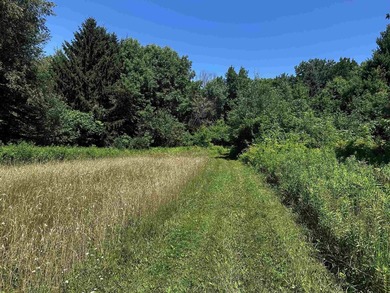 This 20 acres is almost fully wooded and consists of mainly - photo 8