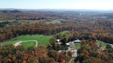 INVESTORS! This one is for you! 15.51 cleared surveyed acres - photo 4