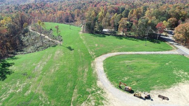 INVESTORS! This one is for you! 15.51 cleared surveyed acres - photo 6