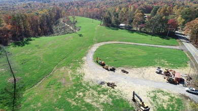INVESTORS! This one is for you! 15.51 cleared surveyed acres - photo 7