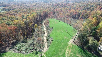 INVESTORS! This one is for you! 15.51 cleared surveyed acres - photo 8