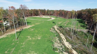 INVESTORS! This one is for you! 15.51 cleared surveyed acres - photo 9