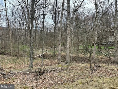 FULLY WOODED 1.03 ACRE BUILDING LOT IN THE (WELL ESTABLISHED) - photo 5