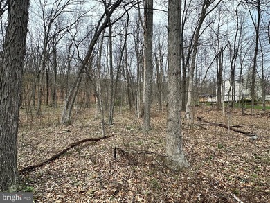 FULLY WOODED 1.03 ACRE BUILDING LOT IN THE (WELL ESTABLISHED) - photo 8