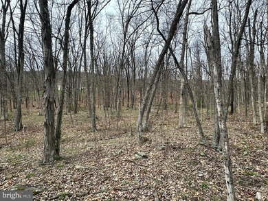 FULLY WOODED 1.03 ACRE BUILDING LOT IN THE (WELL ESTABLISHED) - photo 10