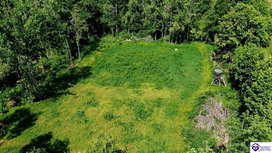 (private lake, pond, creek) Acreage For Sale in Cromwell Kentucky