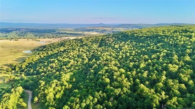 120 +/- acres of prime hunting and recreational land near Lona - photo 11