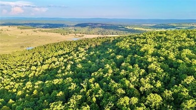 120 +/- acres of prime hunting and recreational land near Lona - photo 13