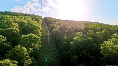 120 +/- acres of prime hunting and recreational land near Lona - photo 14