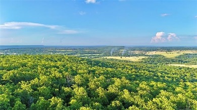 120 +/- acres of prime hunting and recreational land near Lona - photo 15