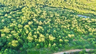 120 +/- acres of prime hunting and recreational land near Lona - photo 21