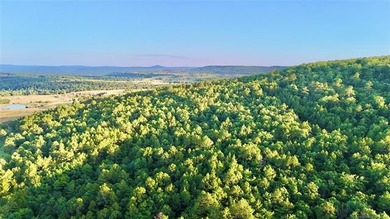 120 +/- acres of prime hunting and recreational land near Lona - photo 22