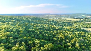 120 +/- acres of prime hunting and recreational land near Lona - photo 23