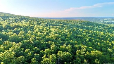 120 +/- acres of prime hunting and recreational land near Lona - photo 24