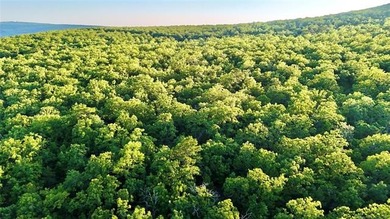 120 +/- acres of prime hunting and recreational land near Lona - photo 25