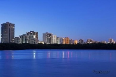 Ocean and Intracoastal views from this Turnkey, fully furnished - photo 32