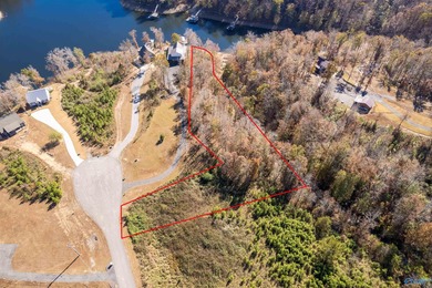 Lewis Smith Lake Lot For Sale in Crane Hill AL