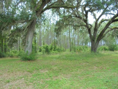 Bring your imagination, the zoning allows both commercial and - photo 1