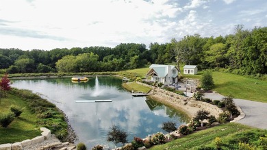 (private lake, pond, creek) Home For Sale in Elizabeth Illinois