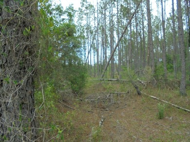 Bring your imagination, the zoning allows both commercial and - photo 8