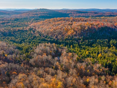 (private lake, pond, coastal) Home For Sale in Piercefield New York