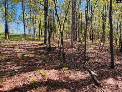 Beautiful Waterfront 1.57 acre lot. This large lot has a great - photo 11