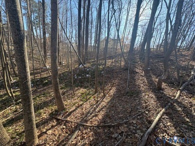 PRICE IMPROVEMENT!!! A RARE OPPORTUNITY to build new - photo 2
