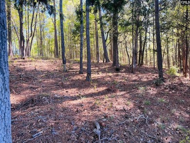 Beautiful Waterfront 1.57 acre lot. This large lot has a great - photo 13