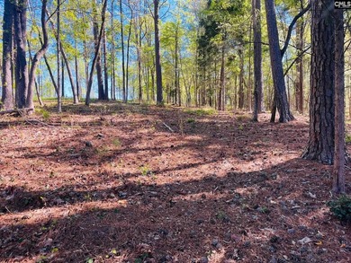 Beautiful Waterfront 1.57 acre lot. This large lot has a great - photo 14