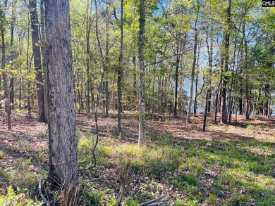 Beautiful Waterfront 1.57 acre lot. This large lot has a great - photo 15