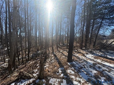 PRICE IMPROVEMENT!!! A RARE OPPORTUNITY to build new - photo 5