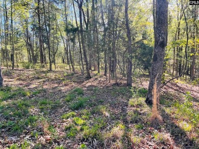 Beautiful Waterfront 1.57 acre lot. This large lot has a great - photo 16