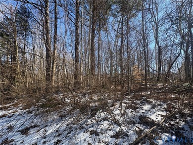 PRICE IMPROVEMENT!!! A RARE OPPORTUNITY to build new - photo 6