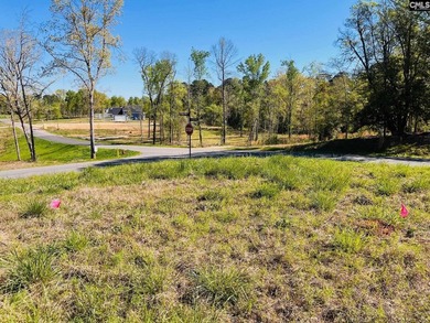Beautiful Waterfront 1.57 acre lot. This large lot has a great - photo 17