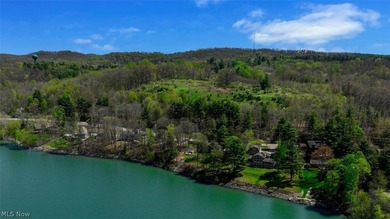 Stunning lake views immediately capture your attention upon - photo 7