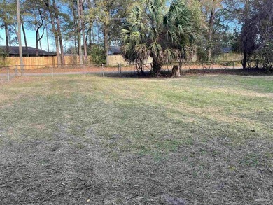 NEWLY RENOVATED! This move-in-ready 3-bedroom, 2-bath home has - photo 18