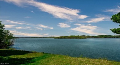Stunning lake views immediately capture your attention upon - photo 9