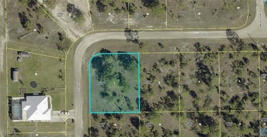 Lehigh Acres Area Lot For Sale in Lehigh Acres Florida