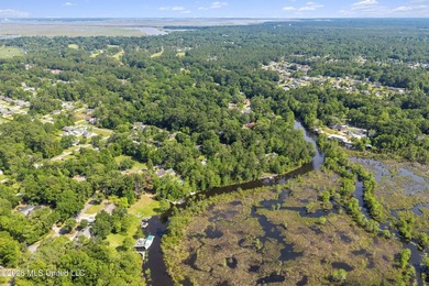 Looking for a waterfront property for your dream home? This lot - photo 24